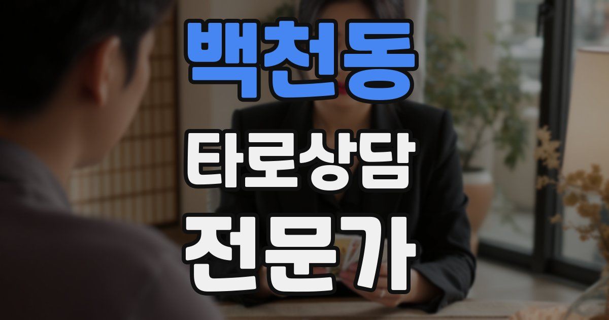 백천동 타로상담전문가 자격증