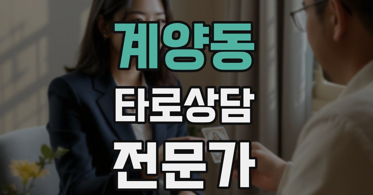 계양동 타로상담전문가 자격증