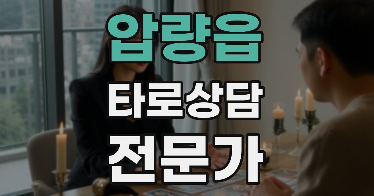 압량읍 타로상담전문가 자격증