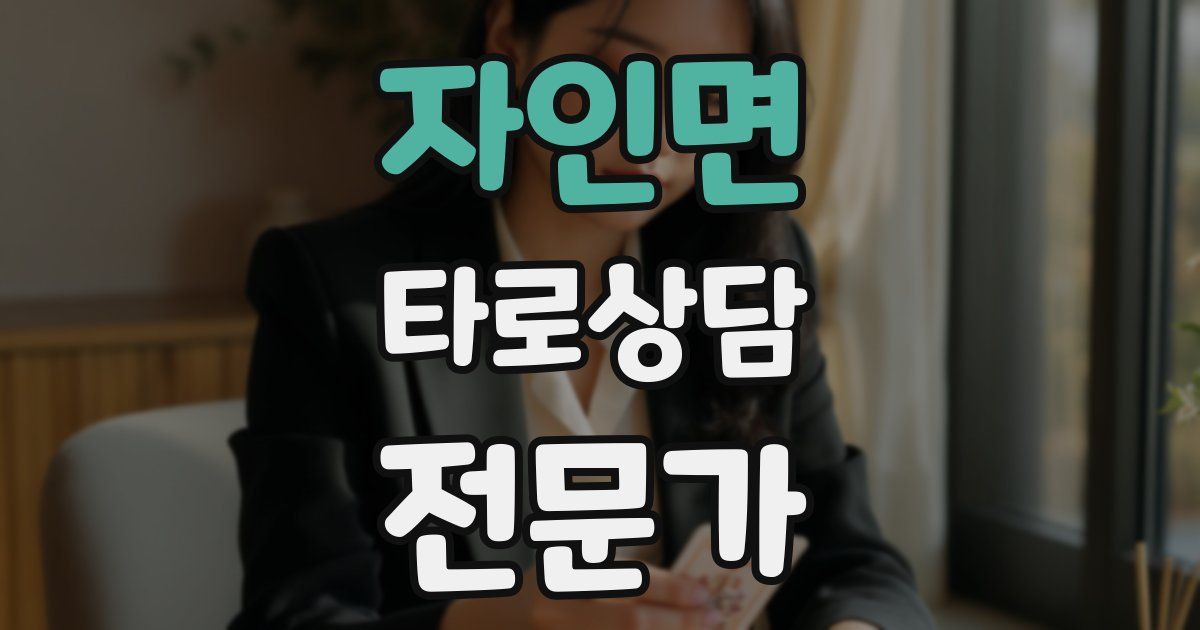 자인면 타로상담전문가 자격증