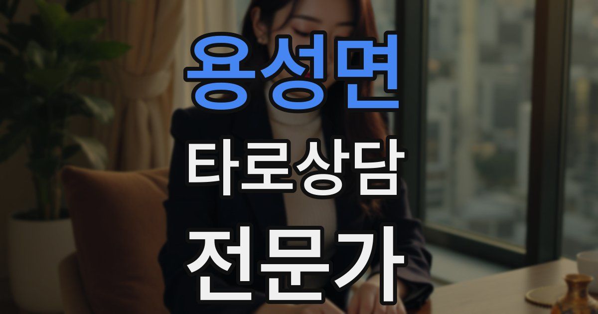 용성면 타로상담전문가 자격증