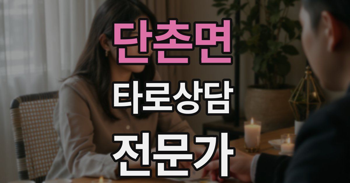 단촌면 타로상담전문가 자격증