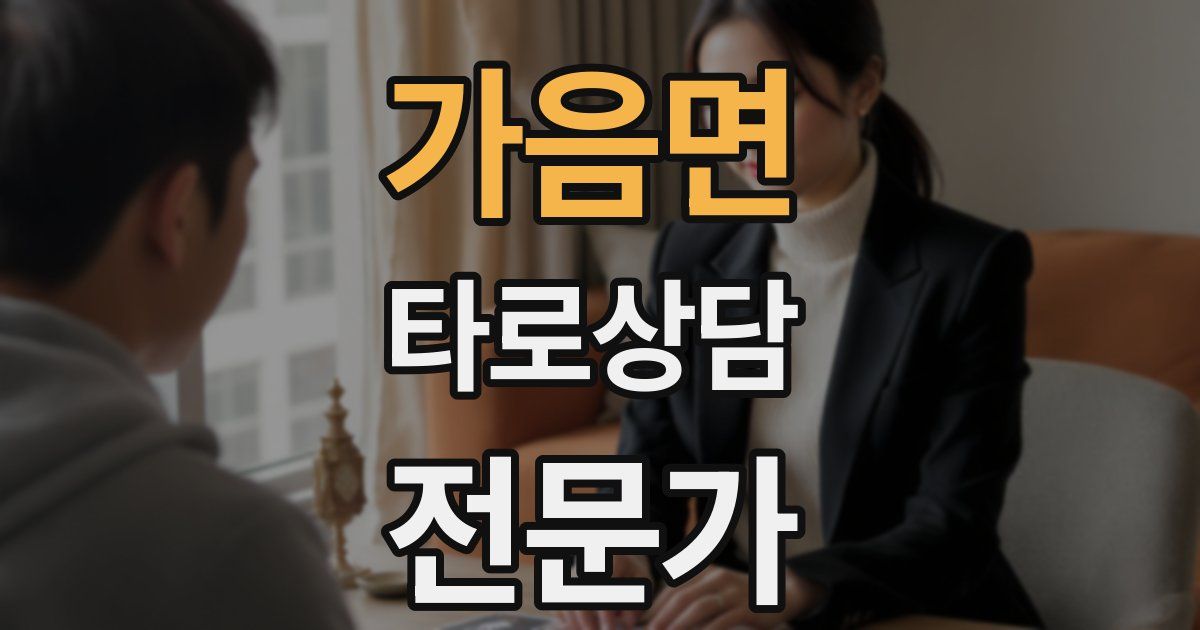 가음면 타로상담전문가 자격증