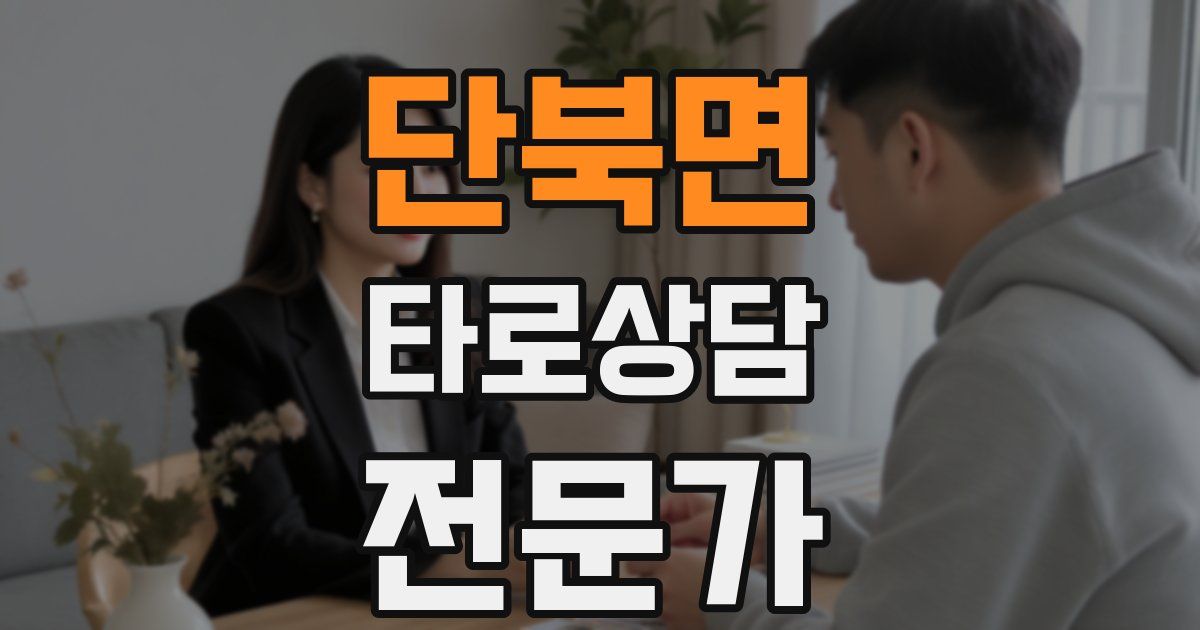 단북면 타로상담전문가 자격증