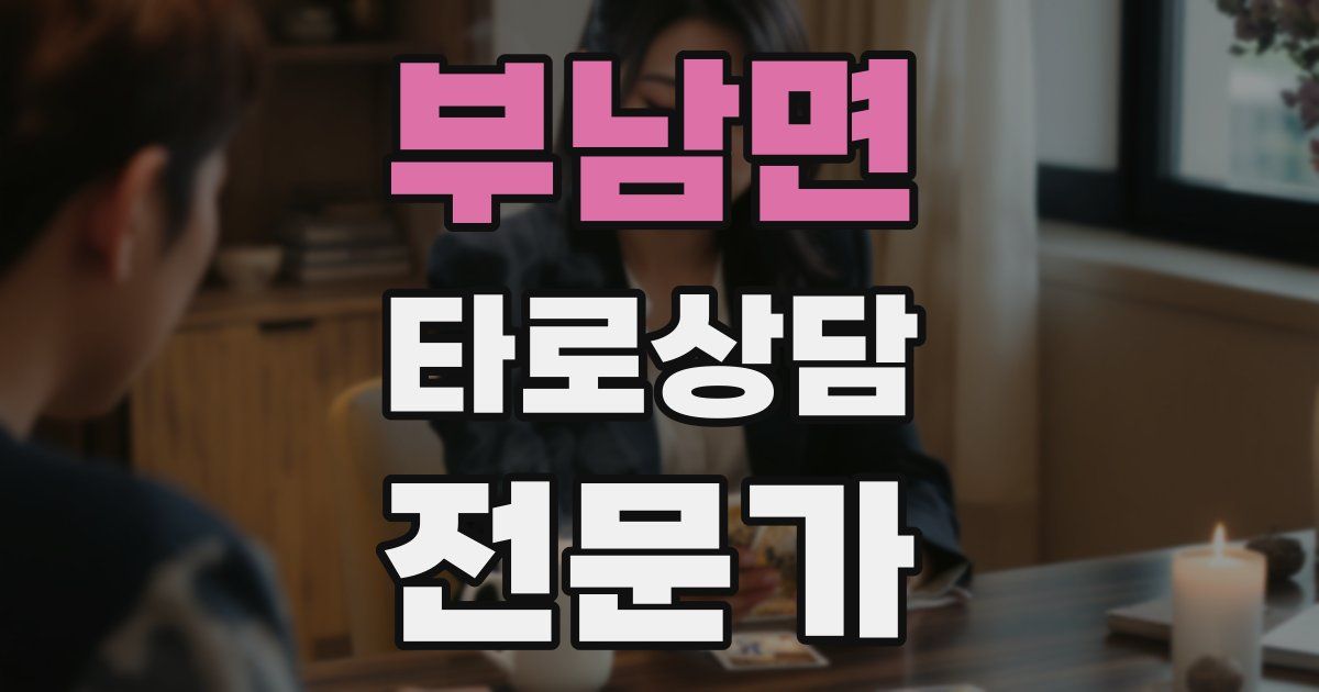 부남면 타로상담전문가 자격증