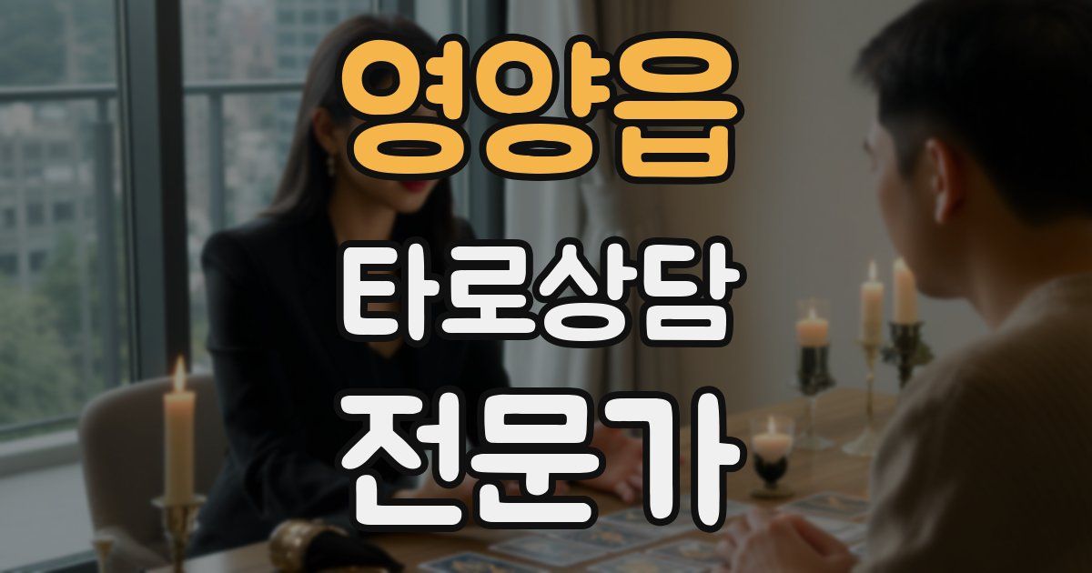 영양읍 타로상담전문가 자격증
