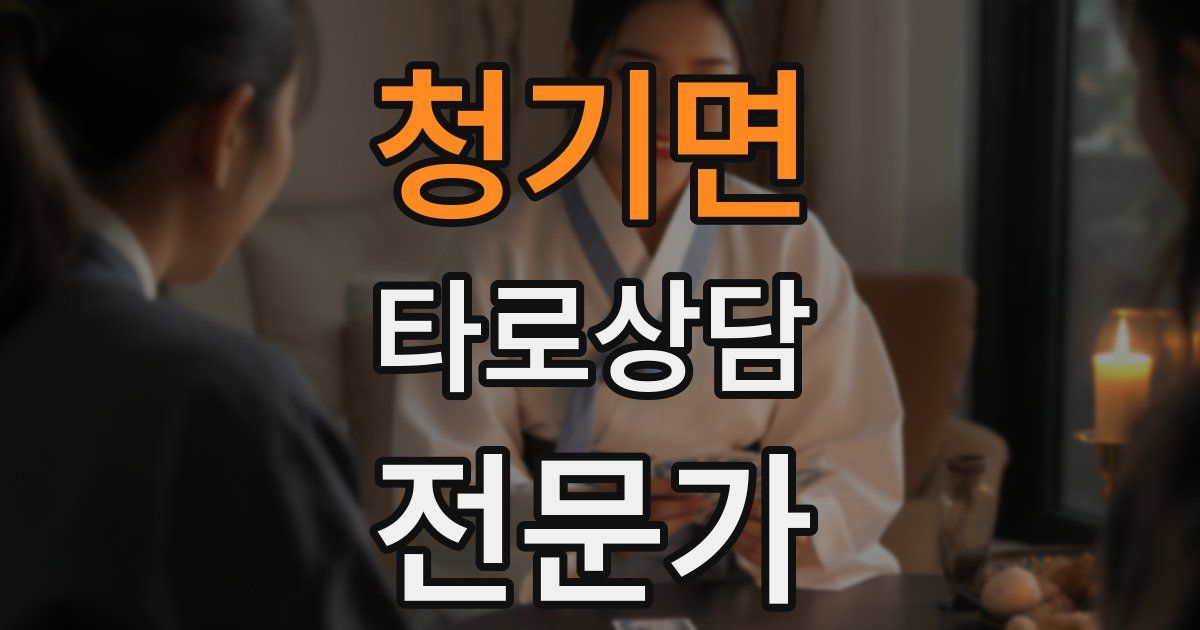 청기면 타로상담전문가 자격증