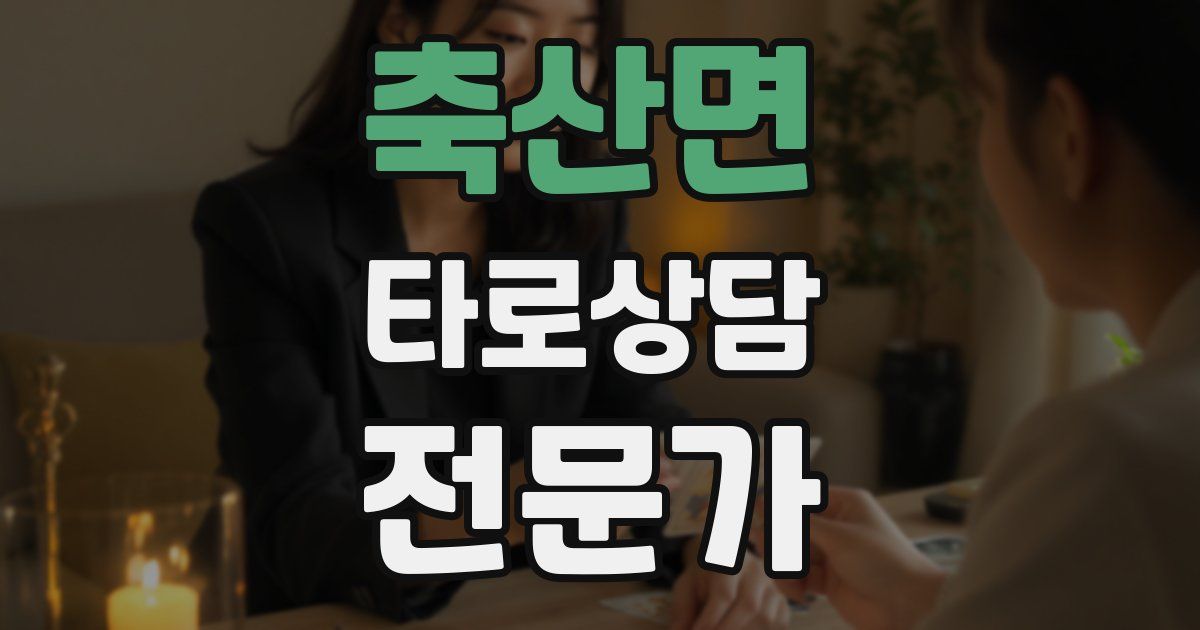 축산면 타로상담전문가 자격증