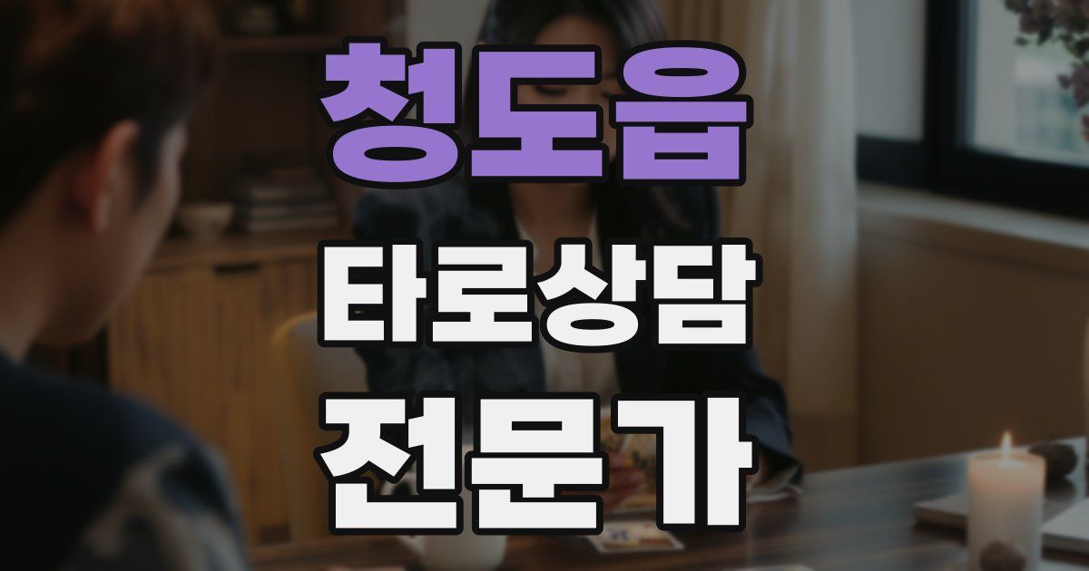 청도읍 타로상담전문가 자격증