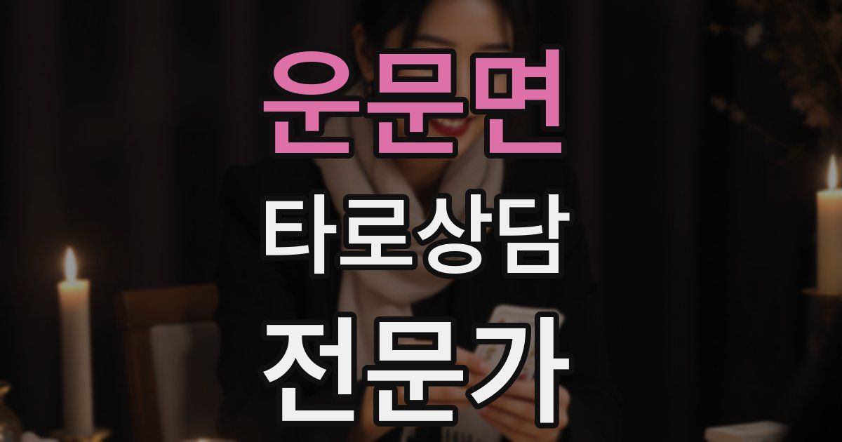 운문면 타로상담전문가 자격증