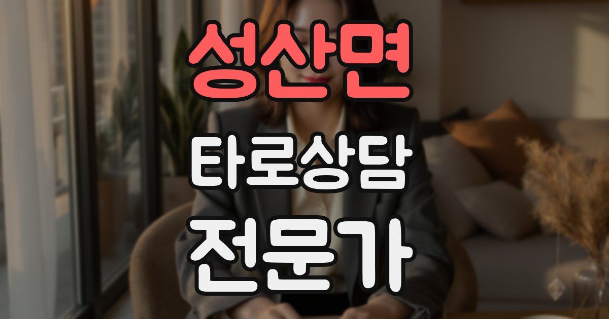 성산면 타로상담전문가 자격증