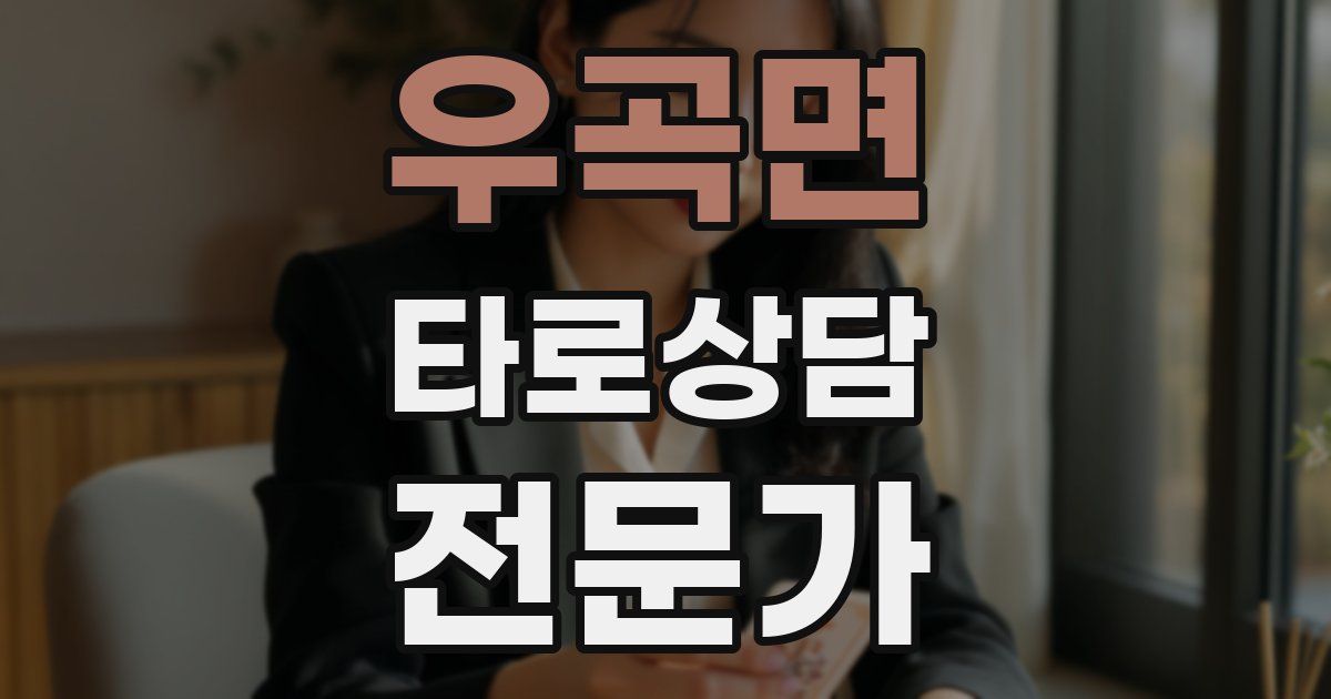 우곡면 타로상담전문가 자격증