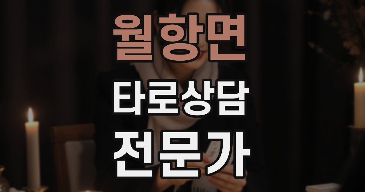 월항면 타로상담전문가 자격증
