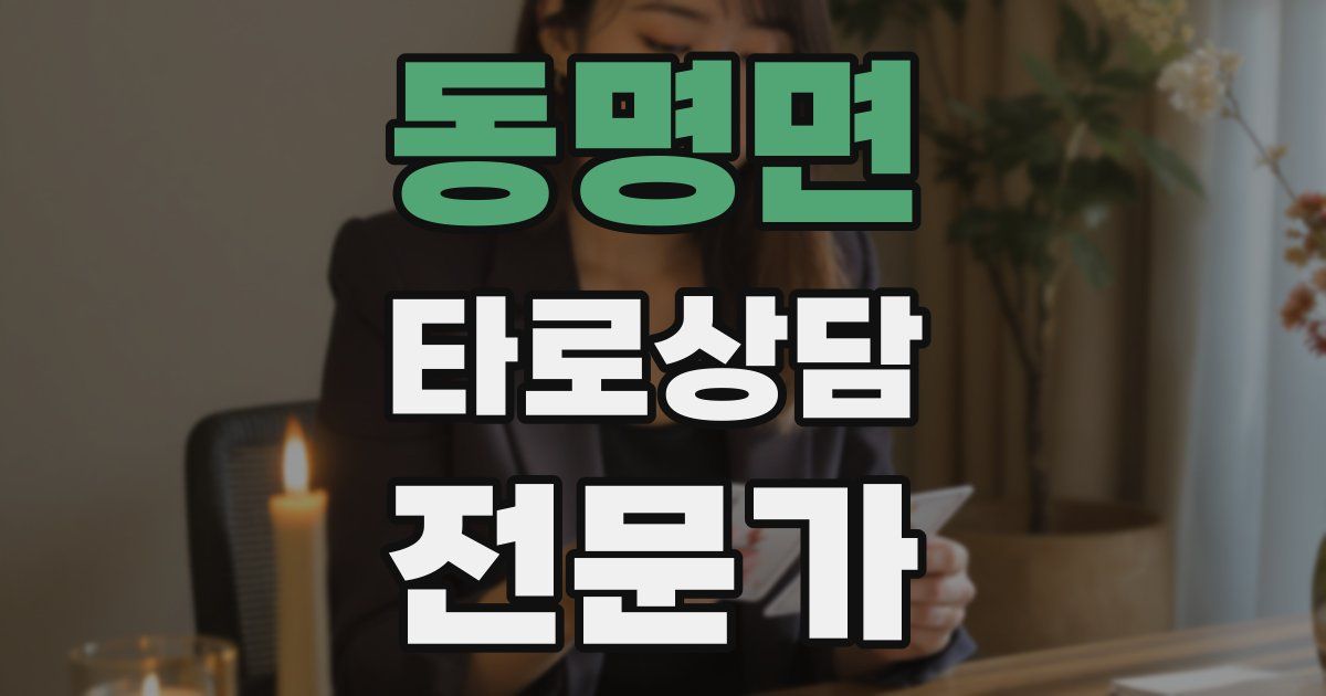 동명면 타로상담전문가 자격증