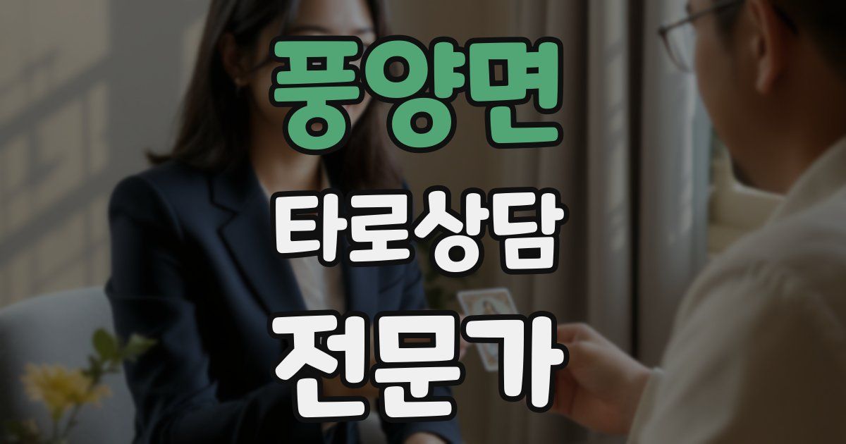 풍양면 타로상담전문가 자격증