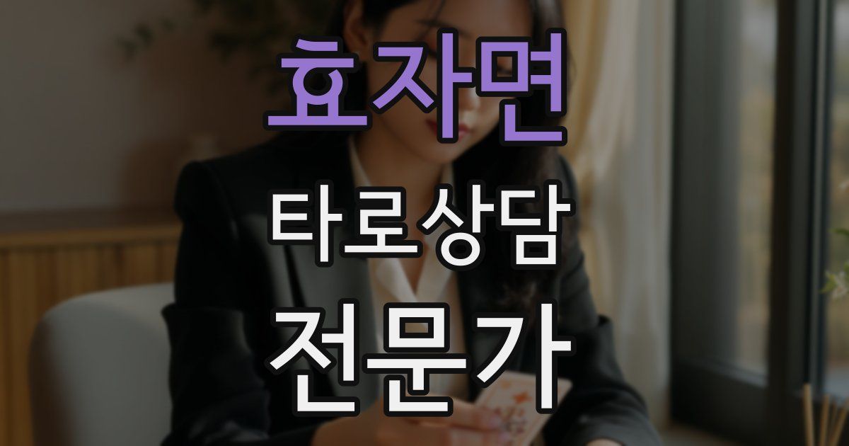 효자면 타로상담전문가 자격증