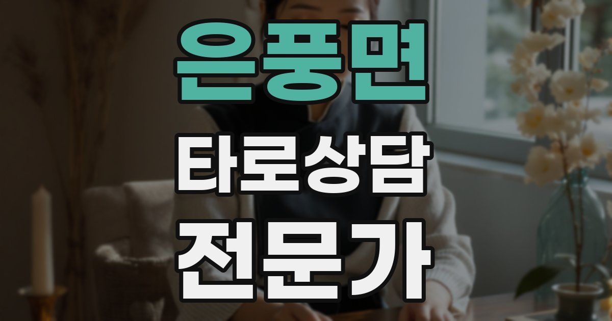 은풍면 타로상담전문가 자격증