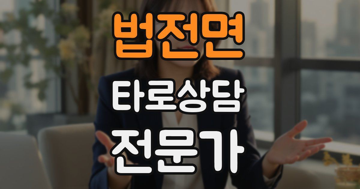 법전면 타로상담전문가 자격증