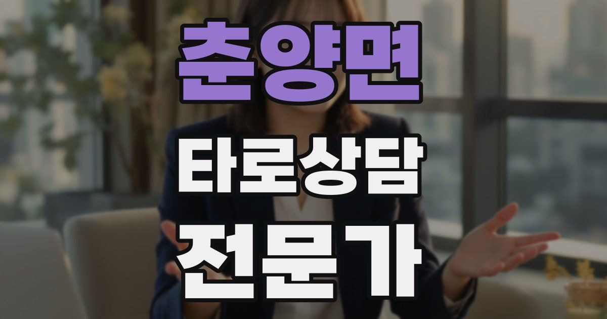 춘양면 타로상담전문가 자격증