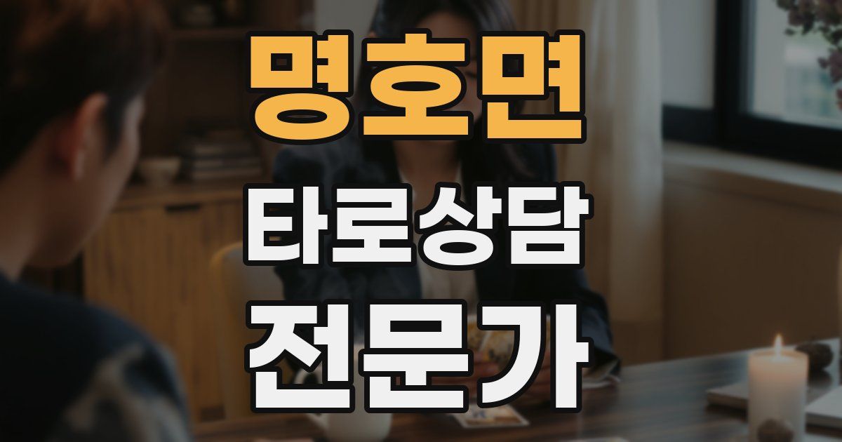 명호면 타로상담전문가 자격증