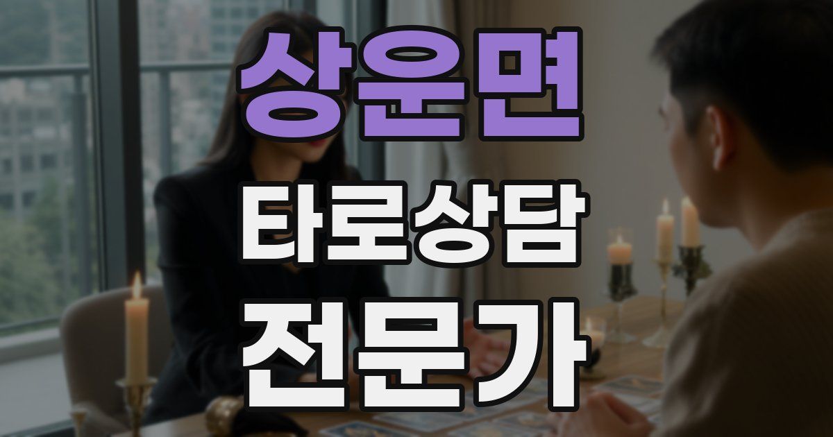상운면 타로상담전문가 자격증