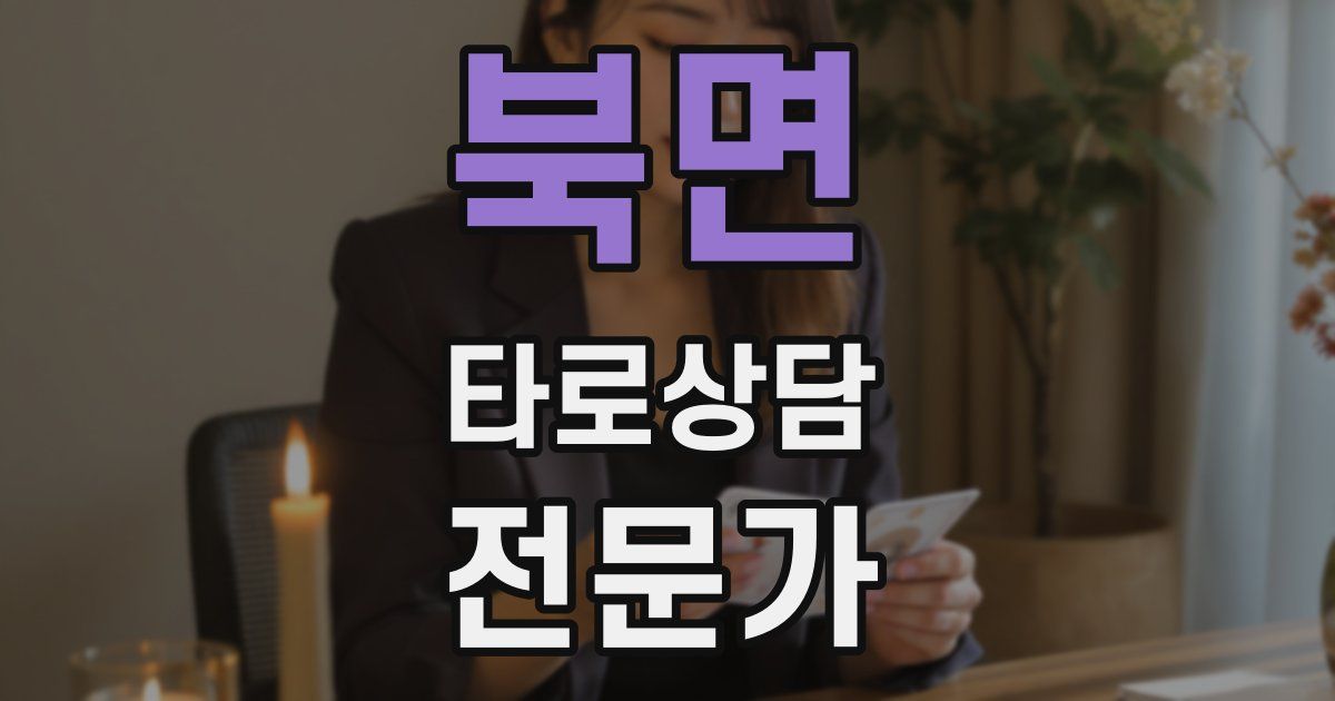 북면 타로상담전문가 자격증