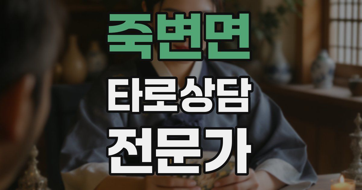 죽변면 타로상담전문가 자격증