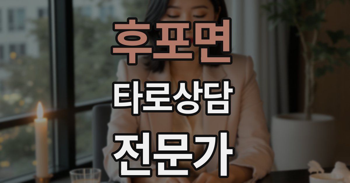 후포면 타로상담전문가 자격증
