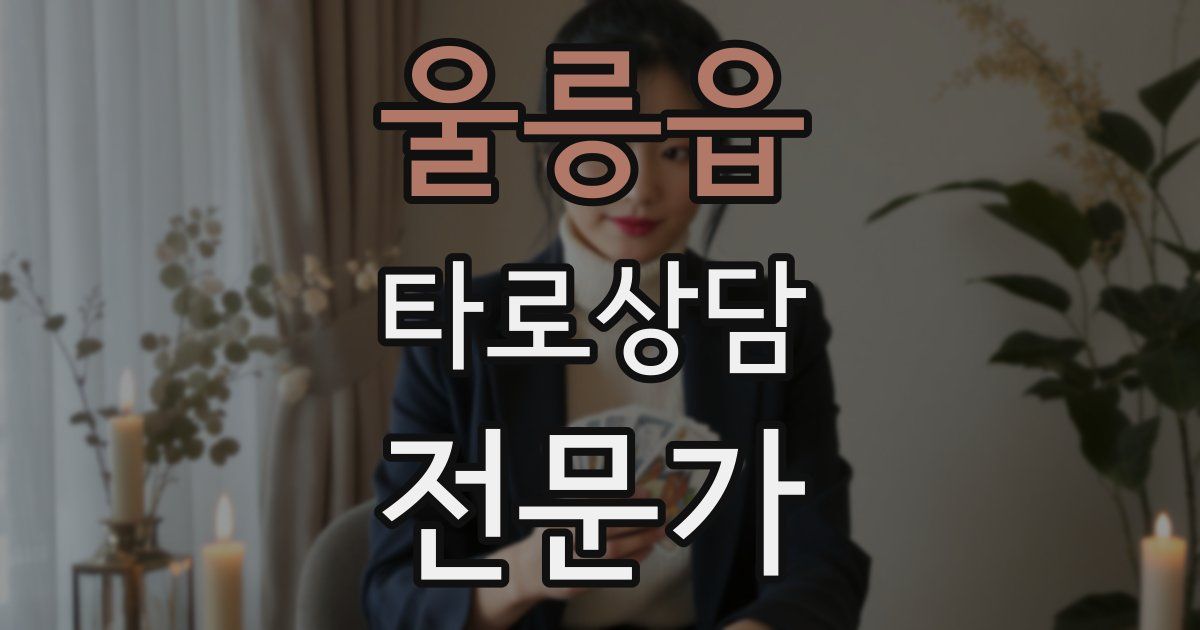 울릉읍 타로상담전문가 자격증