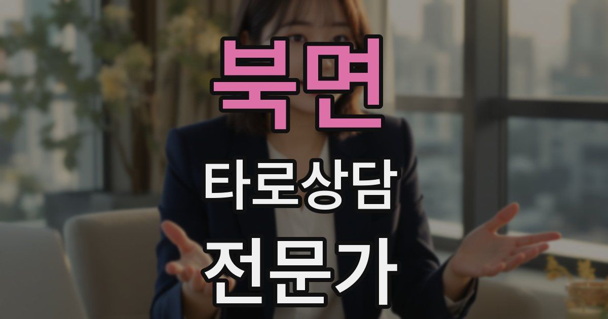 북면 타로상담전문가 자격증