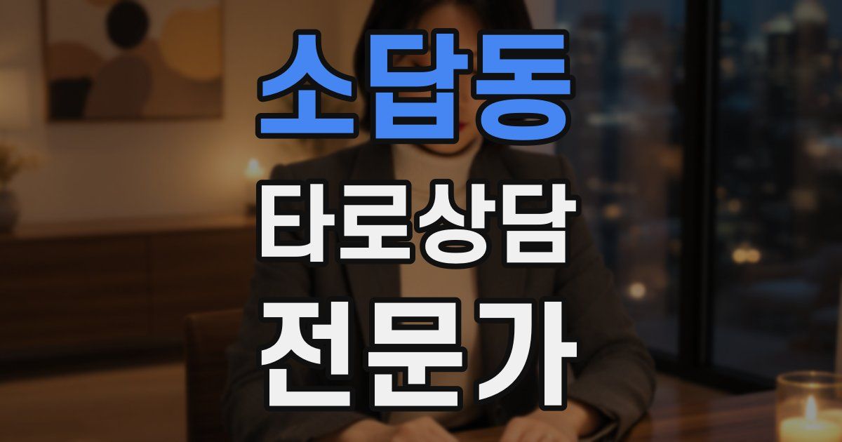 소답동 타로상담전문가 자격증