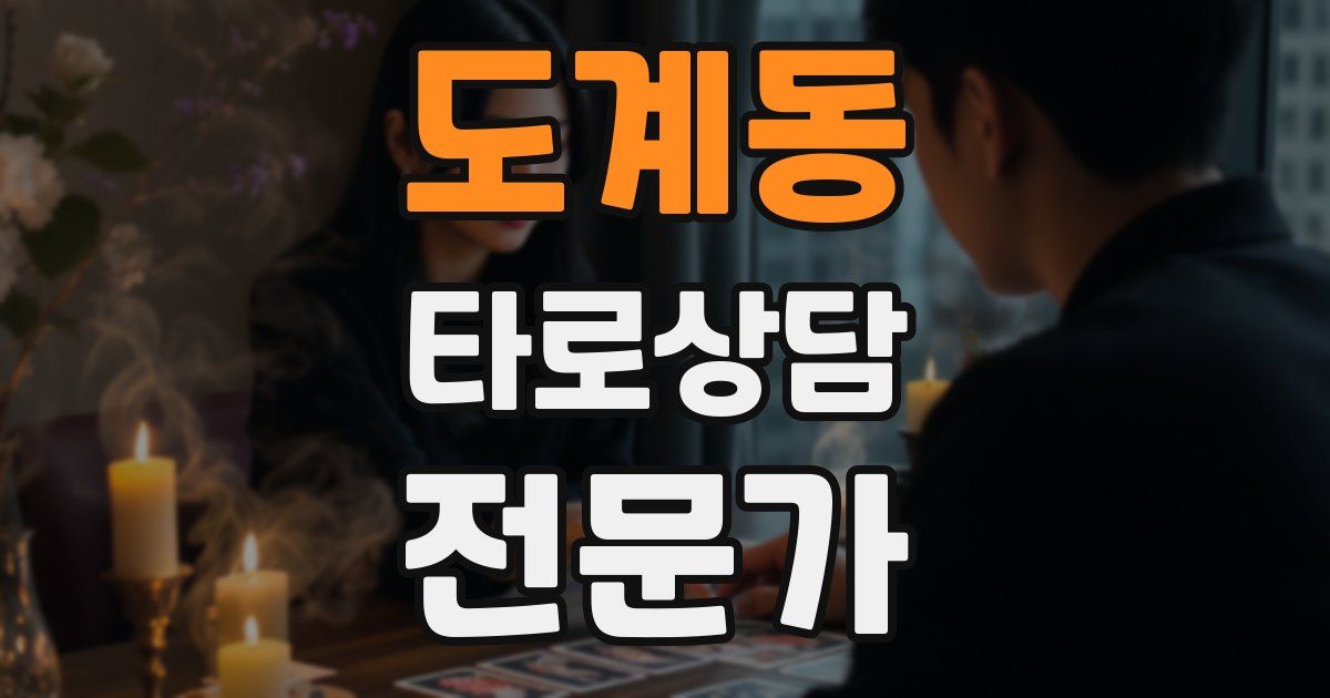 도계동 타로상담전문가 자격증
