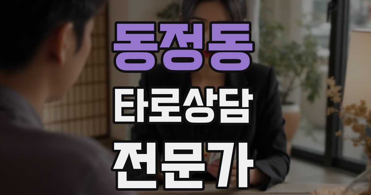 동정동 타로상담전문가 자격증