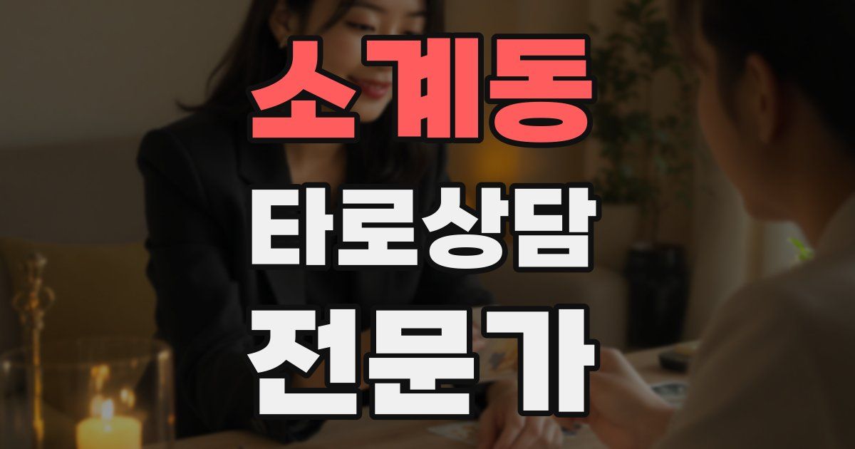 소계동 타로상담전문가 자격증