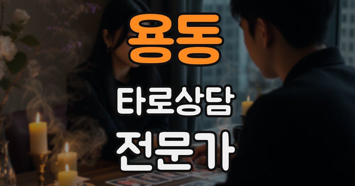 용동 타로상담전문가 자격증