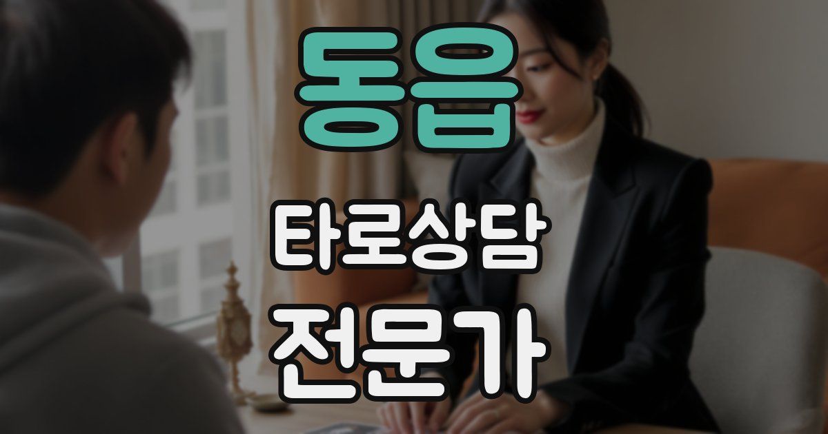 동읍 타로상담전문가 자격증