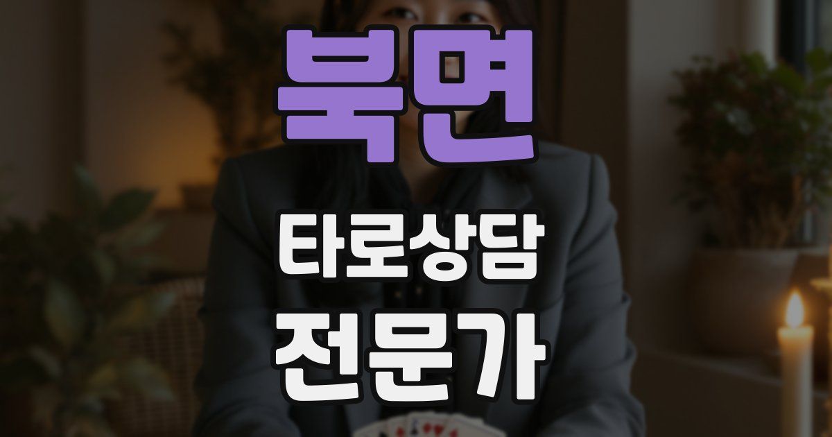 북면 타로상담전문가 자격증