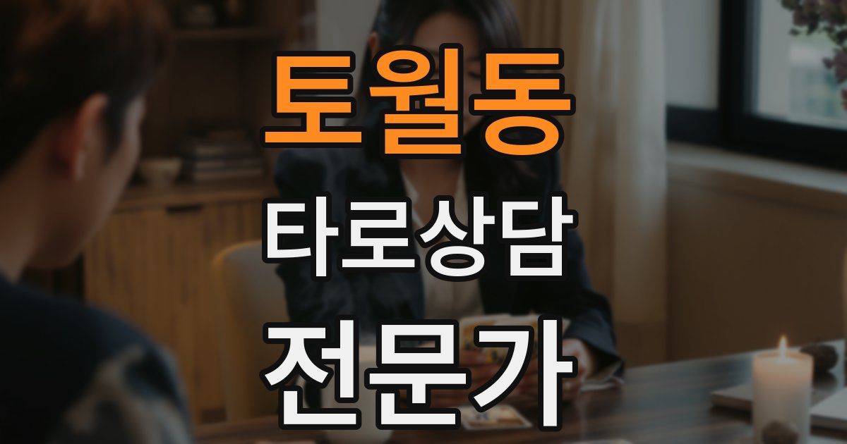 토월동 타로상담전문가 자격증