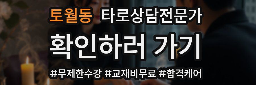 토월동 타로상담전문가 자격증