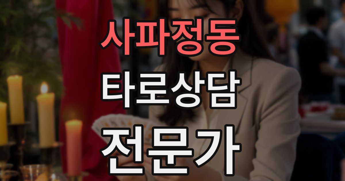 사파정동 타로상담전문가 자격증