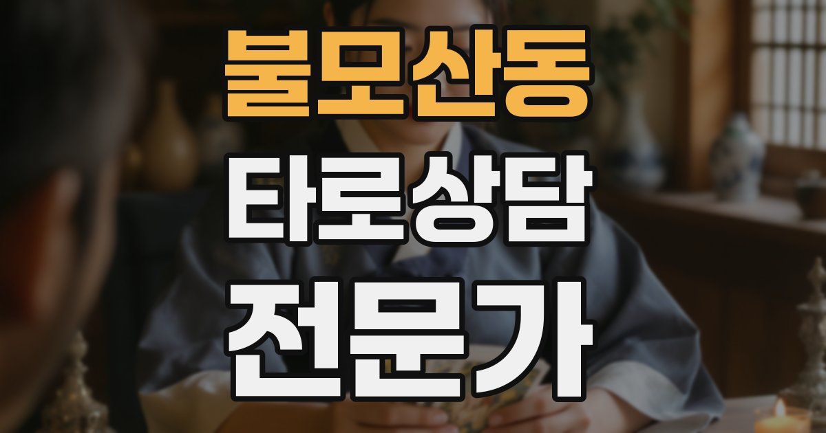 불모산동 타로상담전문가 자격증