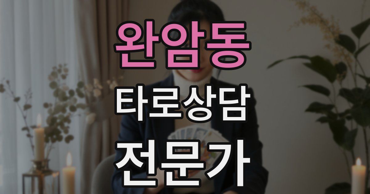 완암동 타로상담전문가 자격증