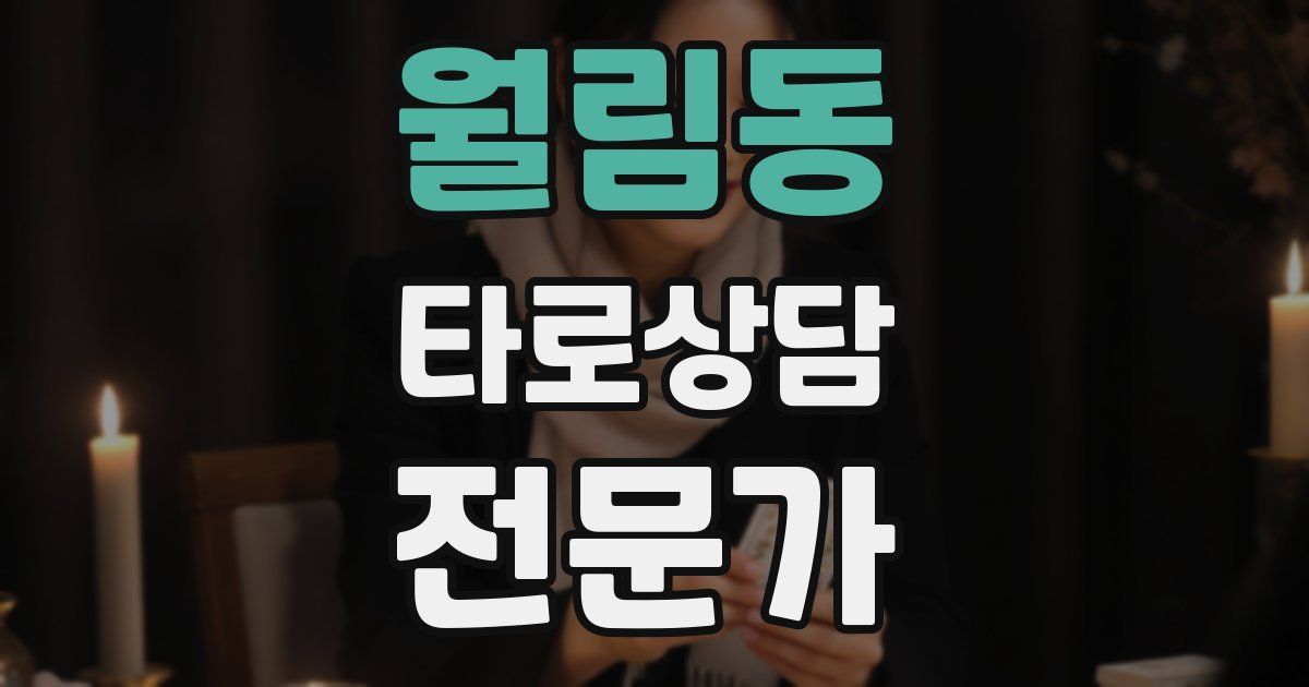 월림동 타로상담전문가 자격증