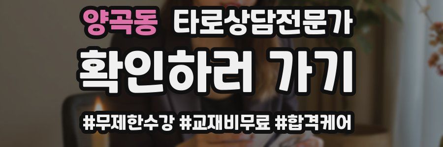 양곡동 타로상담전문가 자격증