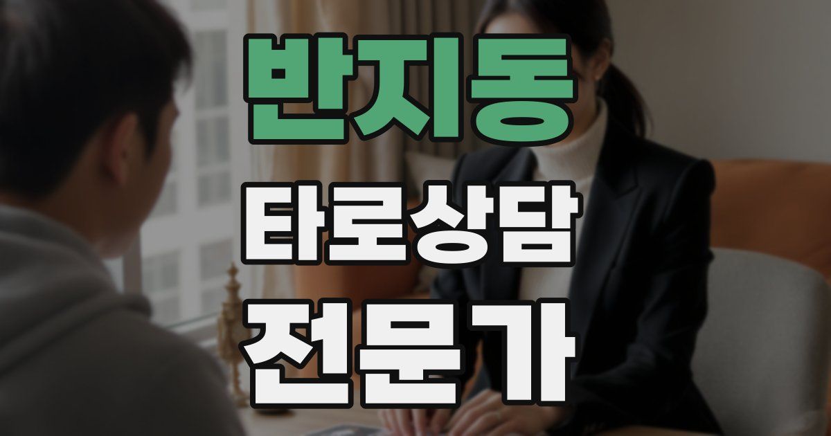 반지동 타로상담전문가 자격증