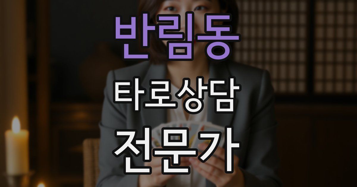 반림동 타로상담전문가 자격증
