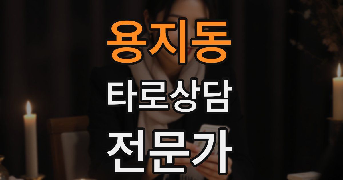 용지동 타로상담전문가 자격증