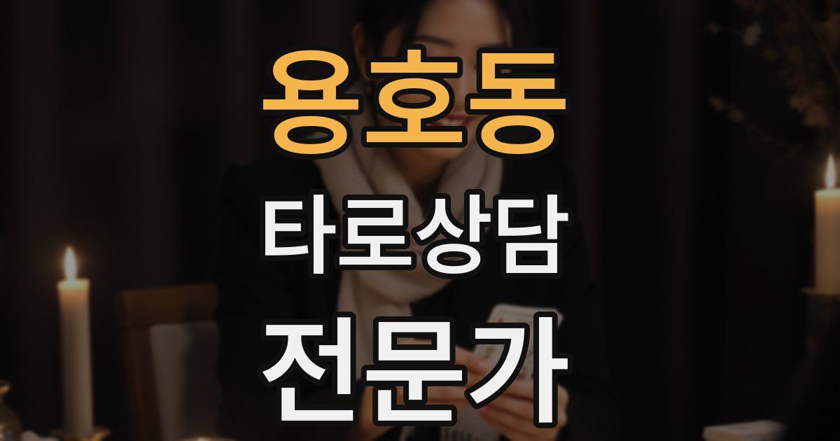 용호동 타로상담전문가 자격증