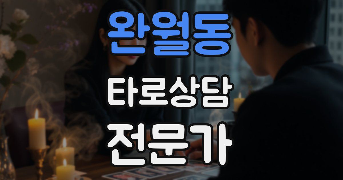 완월동 타로상담전문가 자격증