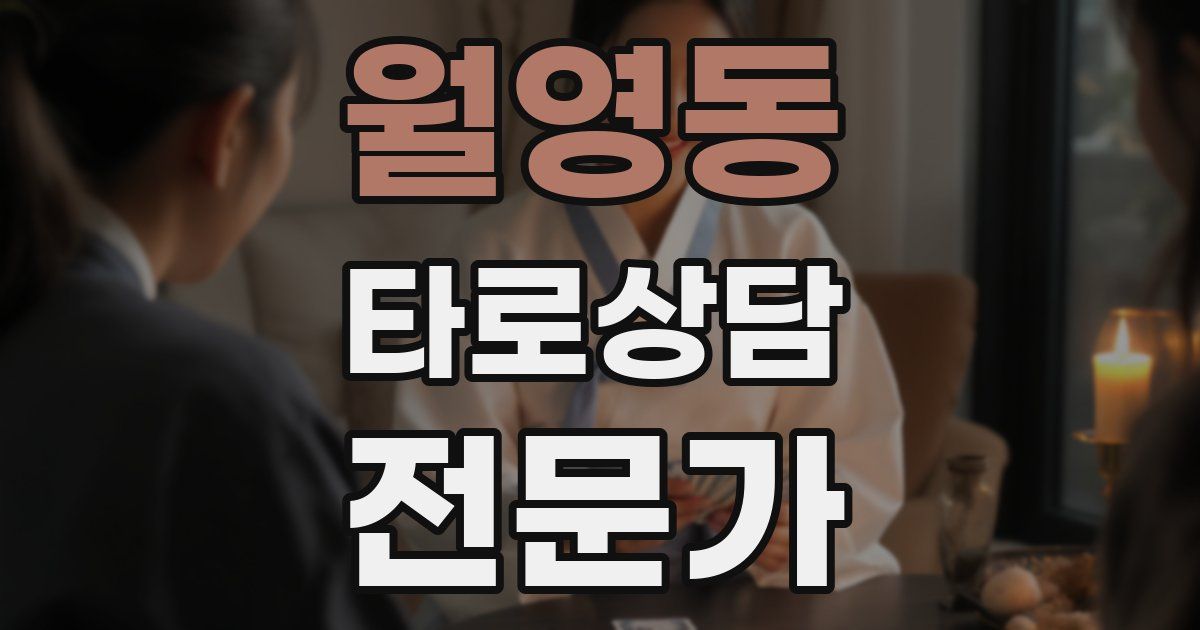 월영동 타로상담전문가 자격증